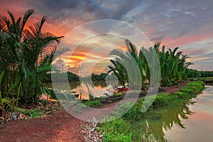 Sunset at River Tallo Makassar photo
